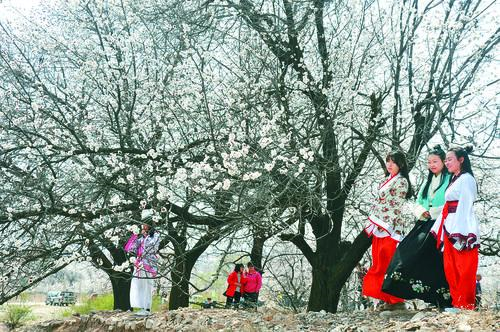 二十一点经典牌桌